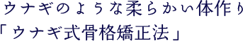 ウナギのような柔らかい体作り 「ウナギ式骨格矯正法」